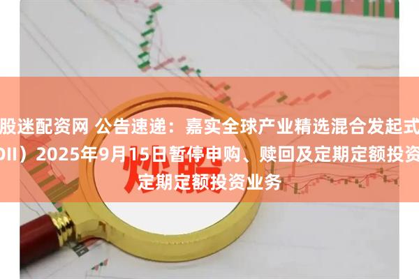 股迷配资网 公告速递：嘉实全球产业精选混合发起式（QDII）2025年9月15日暂停申购、赎回及定期定额投资业务
