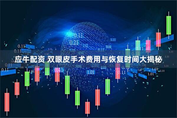 应牛配资 双眼皮手术费用与恢复时间大揭秘
