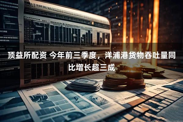 顶益所配资 今年前三季度，洋浦港货物吞吐量同比增长超三成