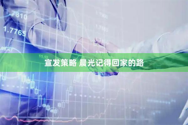 宣发策略 晨光记得回家的路